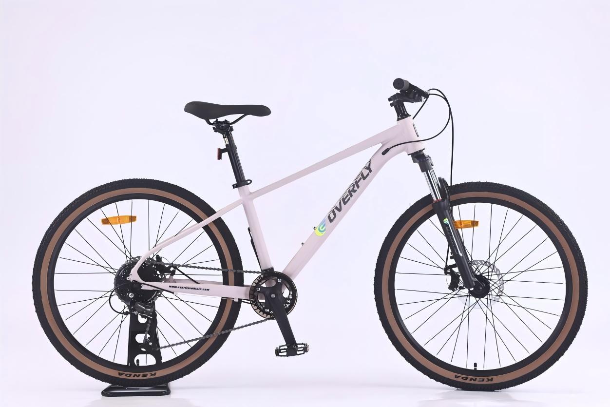 Mountain Bike 037